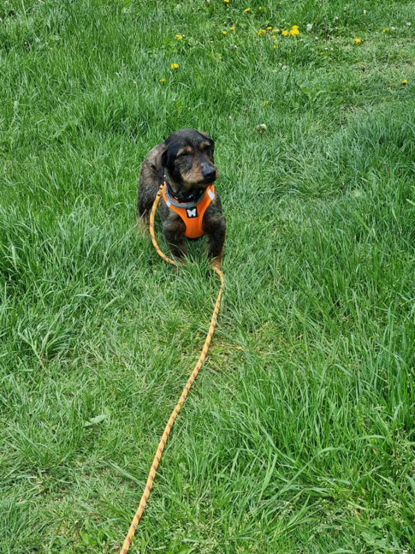 [Image: image000000-102.jpg]