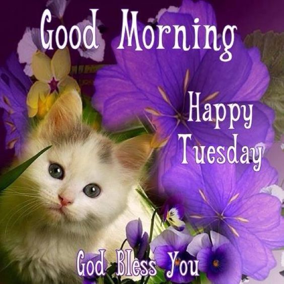 TUESDAY-mardi-19