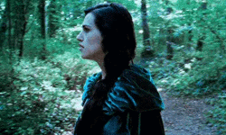 https://i.postimg.cc/MpC4rfC0/1.gif