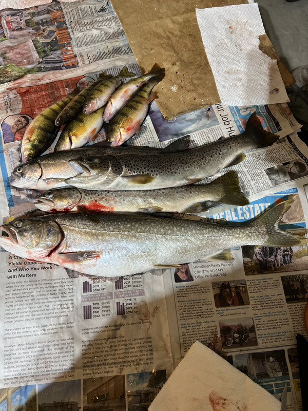 7AF49842-17DA-4427-BEEE-AB3F5E057A3A