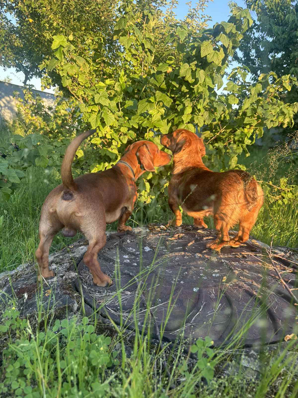 IMG-01cc7960d5d1d75c23263d293eea7fe3-V