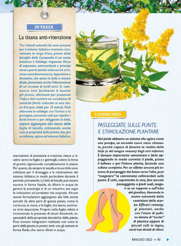 Sal Nat  Mag 2022 (6)