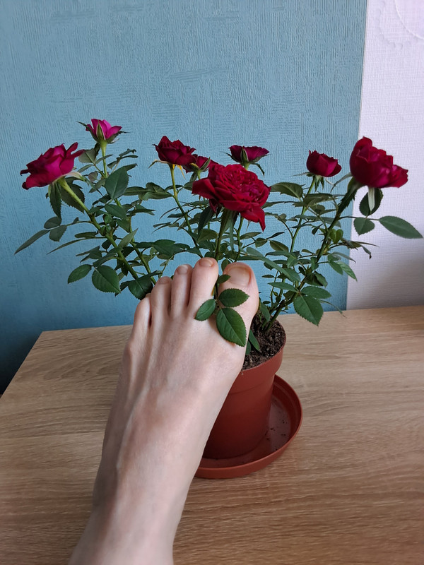 concour de doigts de pied en