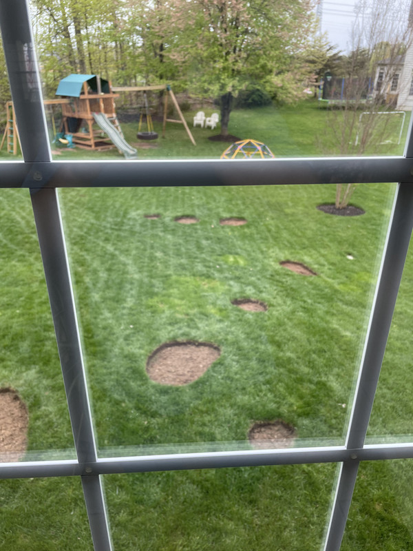 67868B91-ADBD-41F7-9D1C-279F0B6166E4