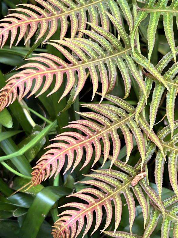 IMG_5279