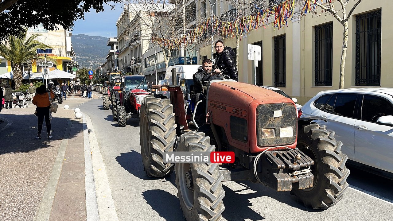 agrotes-IMG-9565