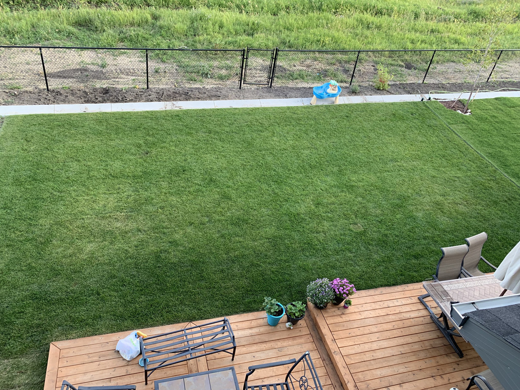 6AB95F62-E88C-4344-AE1F-5DEF10A24A0E