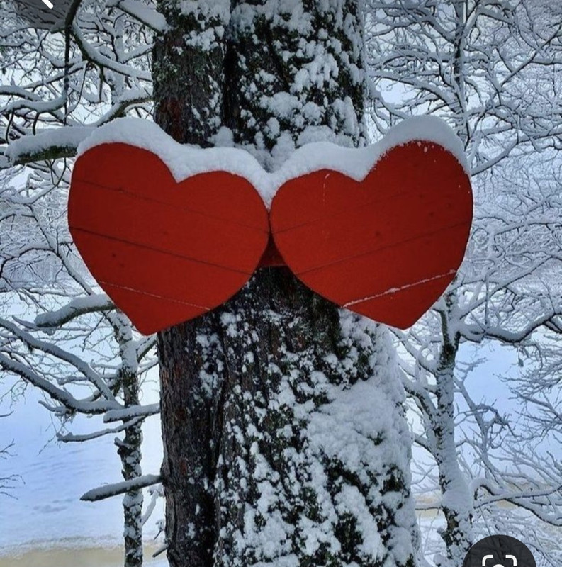 Screenshot_20240124_232949_Pinterest