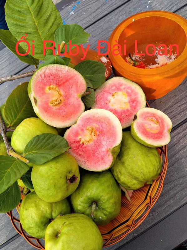 FB_IMG_1712591455488