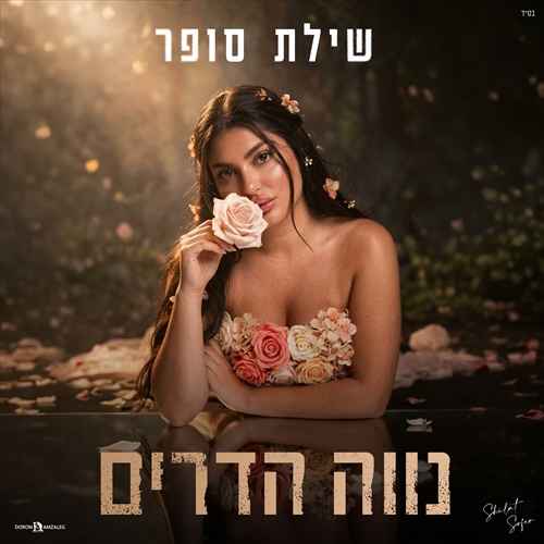תמונה