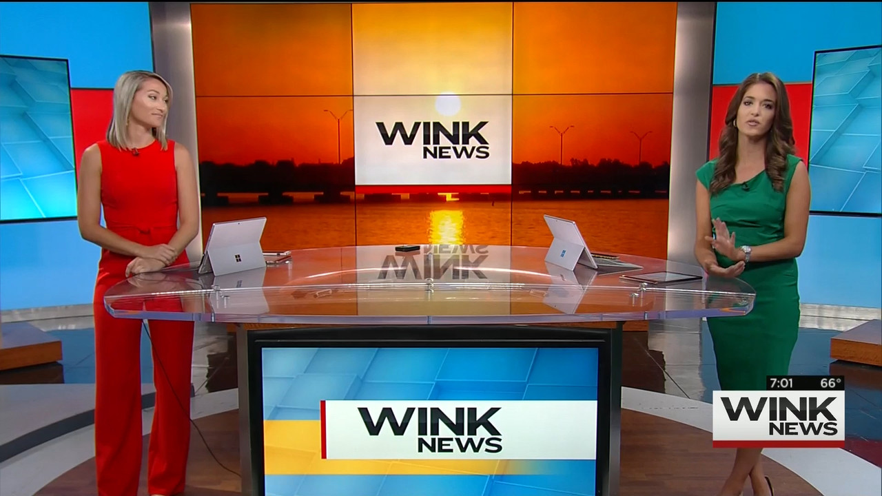 03 May - 11.00.00 - WINK News @ 6 00AM Sunday..ts_snapshot_01.04.49_[2020.05.03_15.58.47]