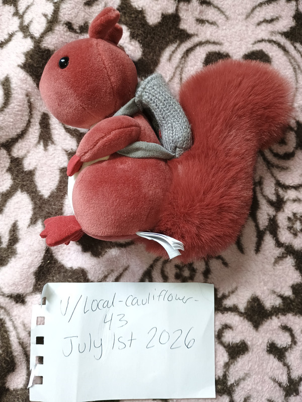 IMG 20260701 151019769