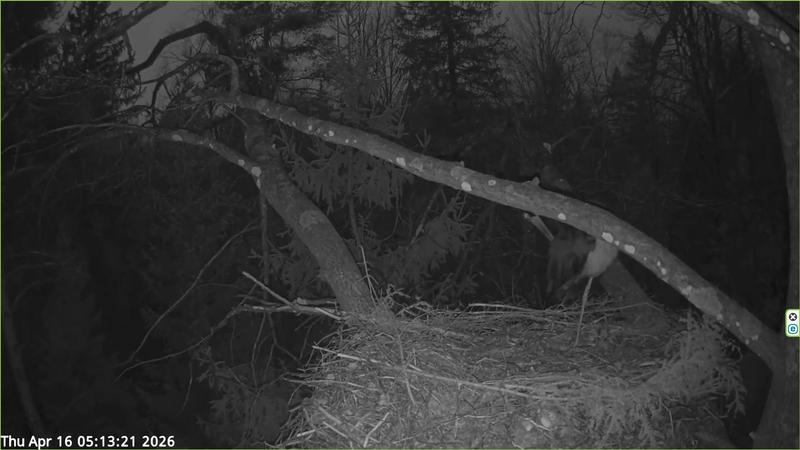 2026 04 15 p 05 13 21