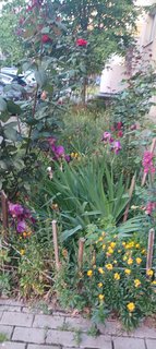 IMG_20230526_192737