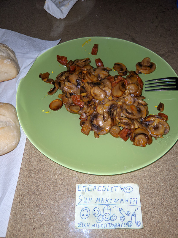 ⚛️antykat_v17_⭐_LMC_11TPro_20230506_165220285__storage_emulated_0⚛️antykat_v17_⭐_LMC_11TPro