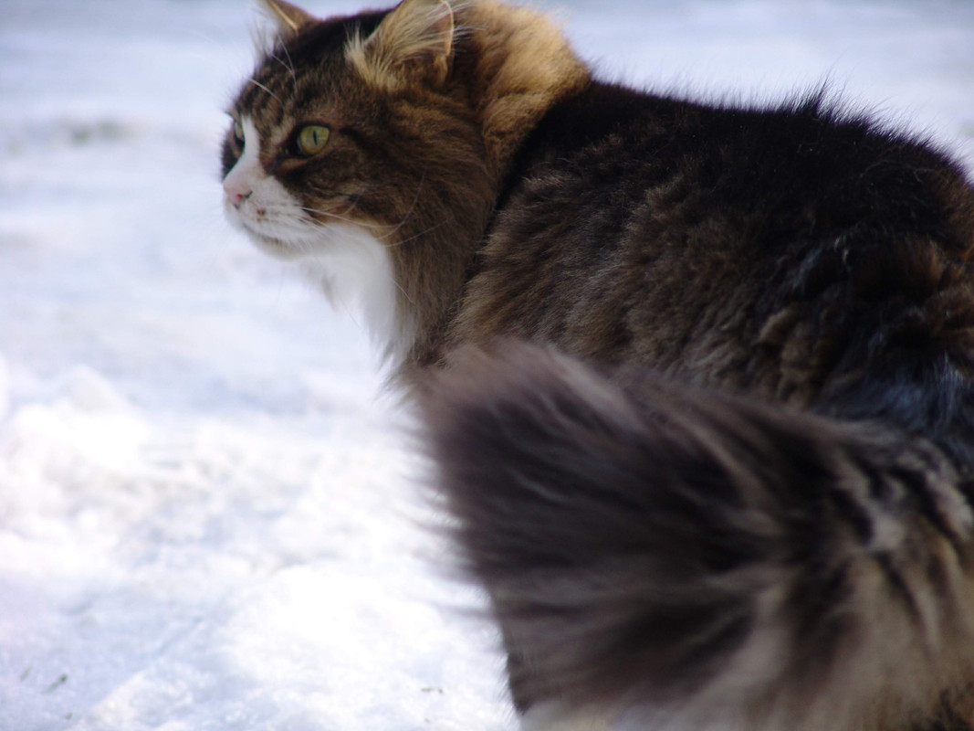 DSC02312-1.jpg