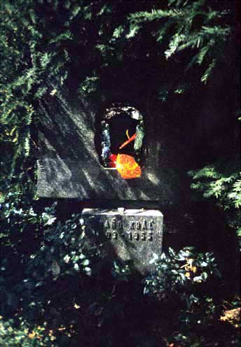 kralfrano
