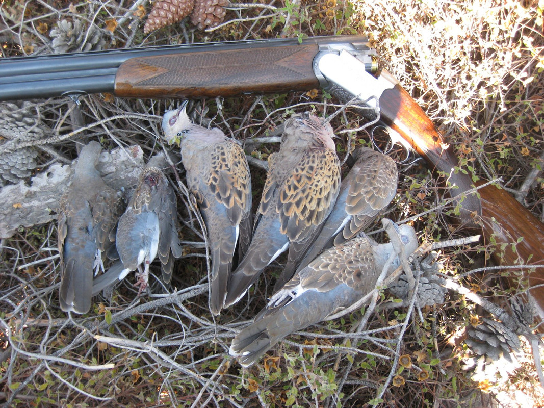 257626_4416732054831_656864611_o (2)