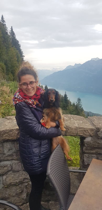 [Image: IMG-20201001-WA0001.jpg]