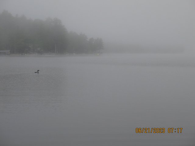 IMG-6012.jpg