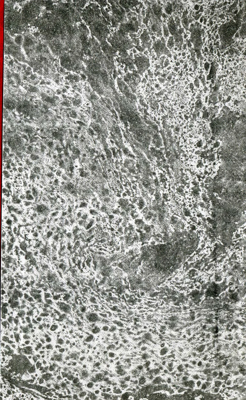 p0002