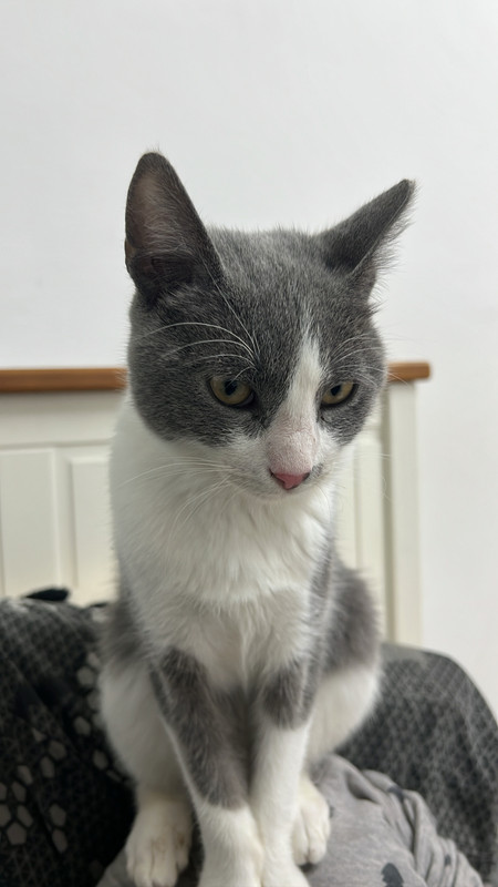 4E337B98-E38B-4EDC-AD9D-A04A0C2C1943