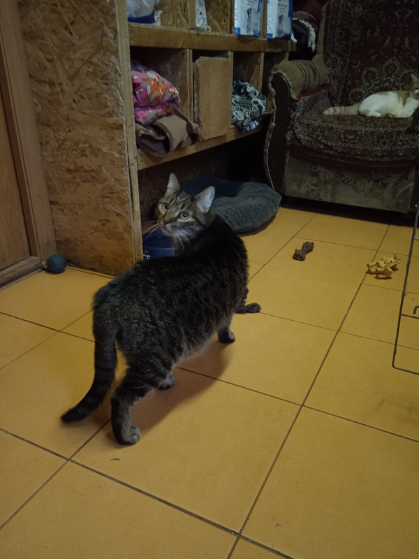 IMG-4860231616be16c5ce027e7b70a24dd5-V