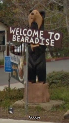 bearadise.jpg