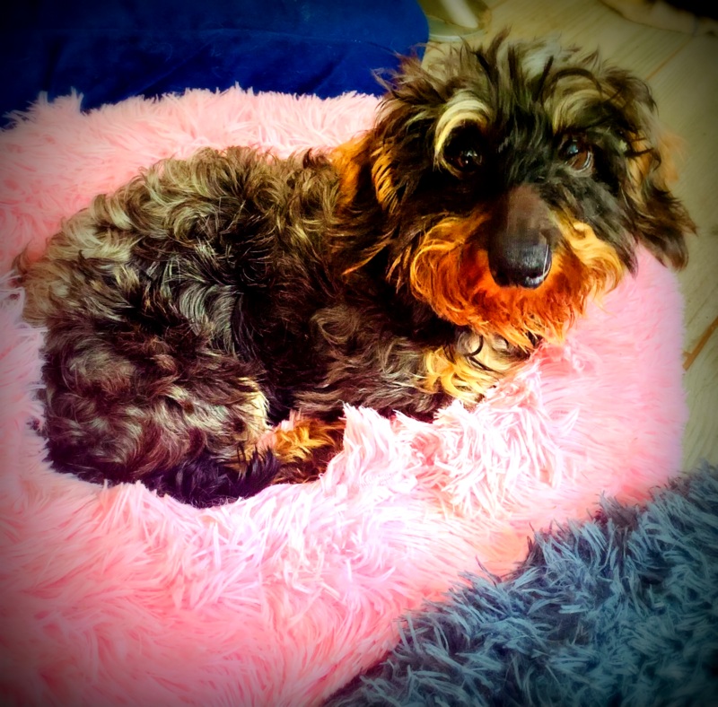 [Image: IMG-2761.jpg]