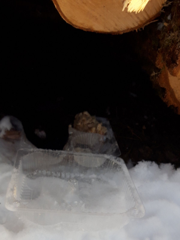 D3B40FB7-7E1D-4822-8DD8-BB9C454CF57D