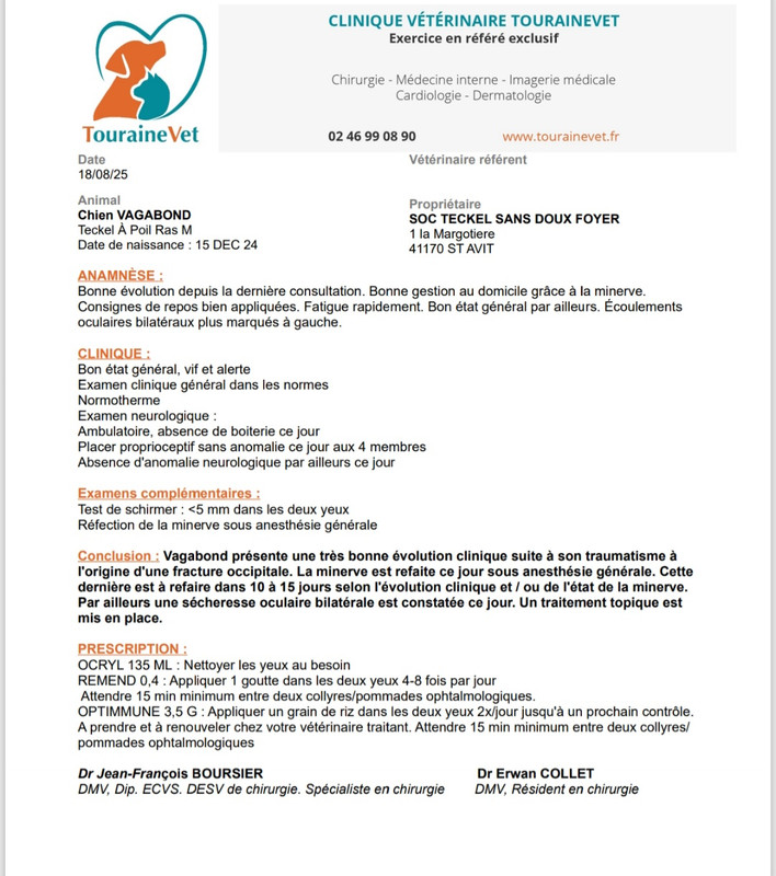 [Image: Screenshot-20250818-214120-One-Drive.jpg]