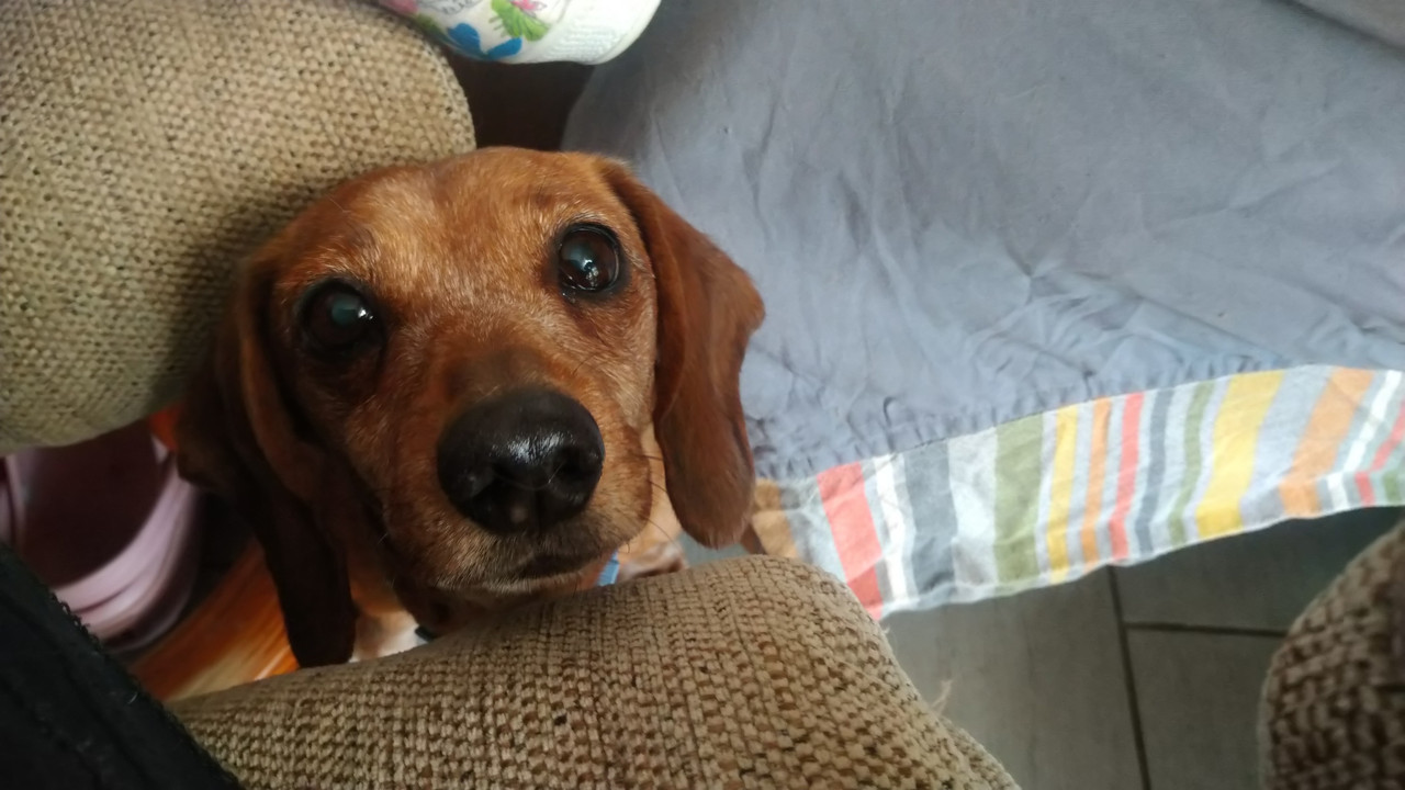 [Image: DSC-0638.jpg]