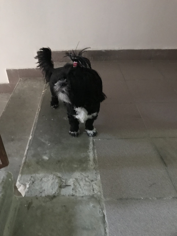 49A5F9A9-EC9B-4254-AAA2-BC6951ACA44E