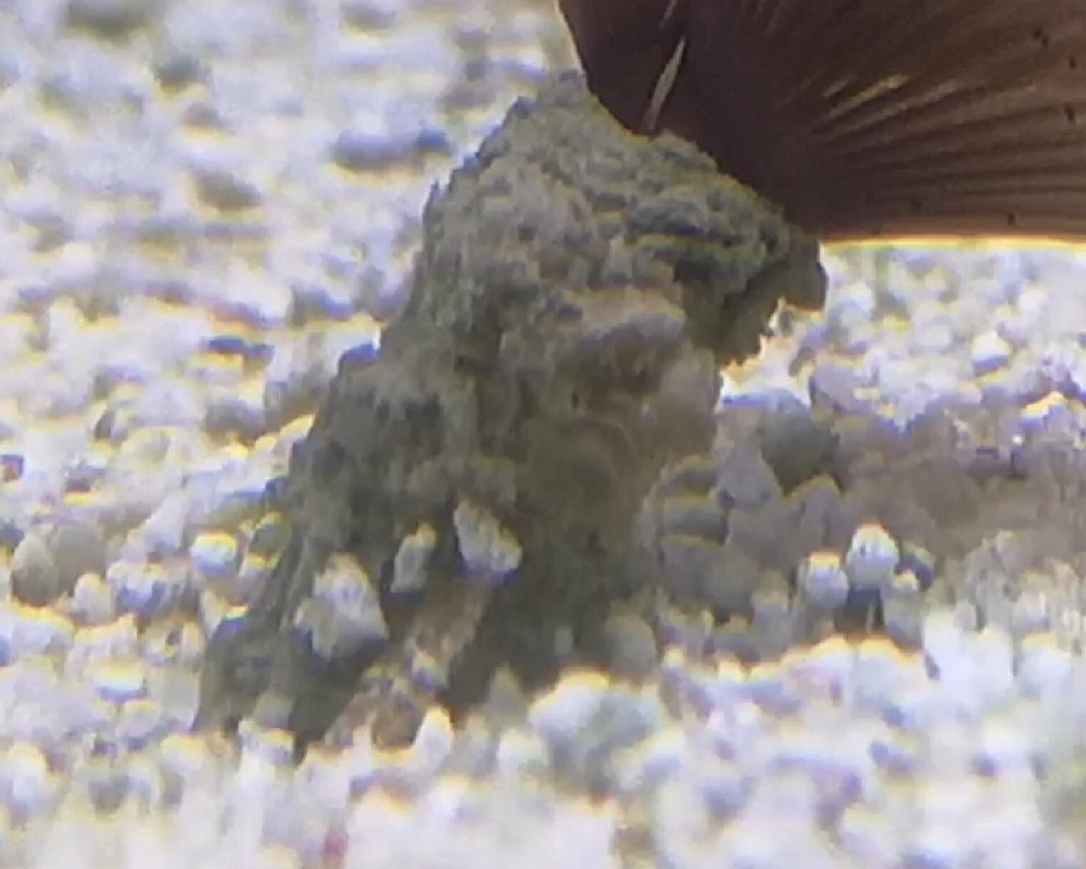 DB870EF8-188F-48F9-9D18-21CD69C78A10