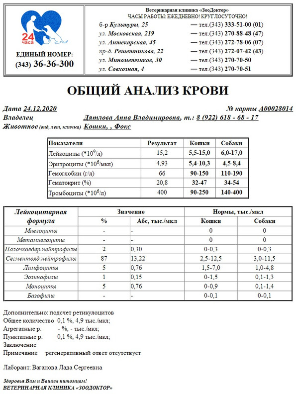 сколько времени готовится общий анализ крови