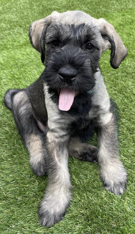 45274F96-3238-45CC-A085-B3F678656C78_1_201_a