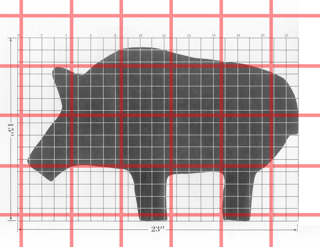 300M_Pig_MOA (1)