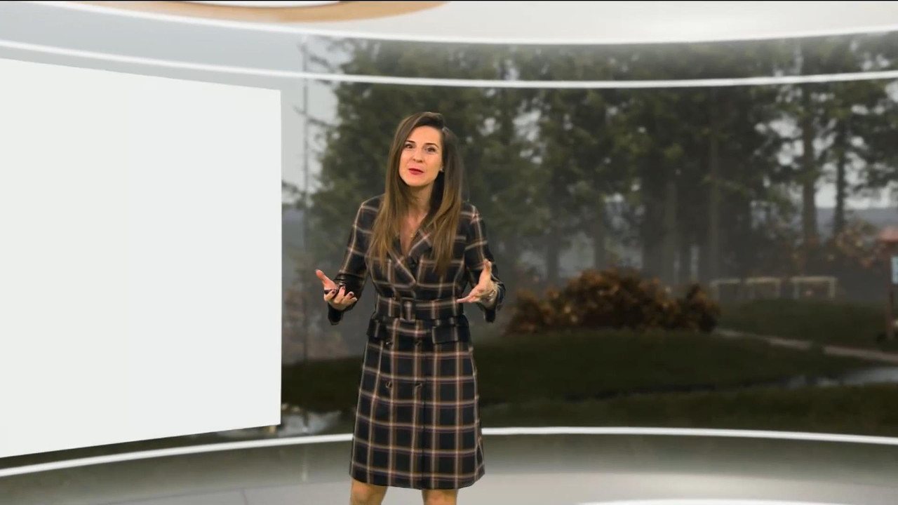 Daniela Prepeliuc 261120.mp4_snapshot_00.25_[2020.11.26_17.16.57]