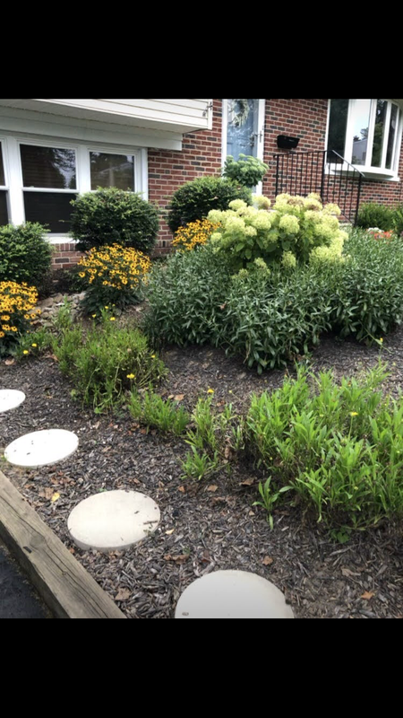 E03B463A-8630-4FE4-A435-AC63807006CE