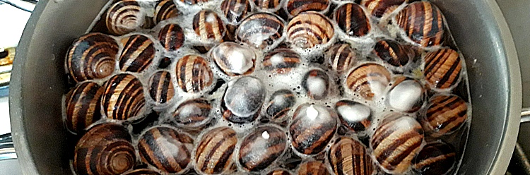 20190429-125827
