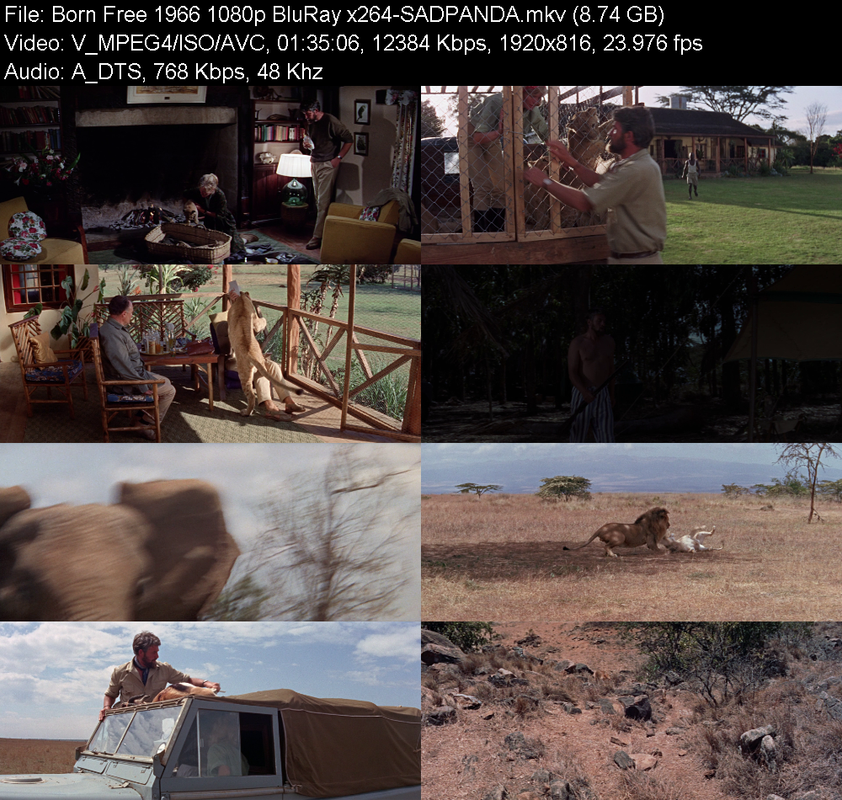 born-free-1966-1080p-bluray-x264-sadpand