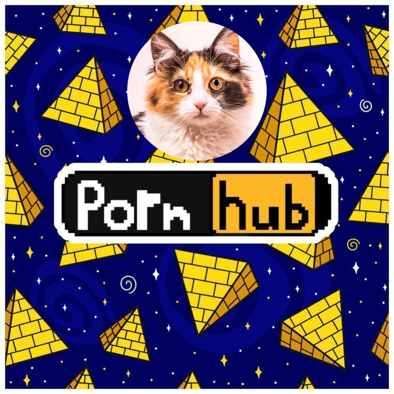 [Image: TLP-860-20240510-203808-0000.png]