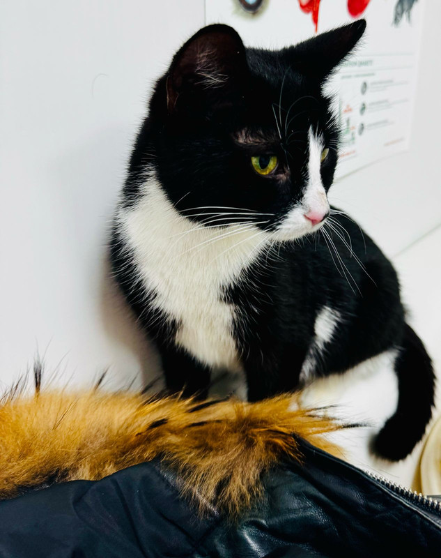 Изображение WhatsApp 2025-04-07 в 15.52.49_e5e2032a