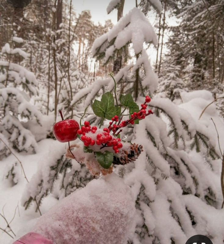 Screenshot_20240113_233948_Pinterest