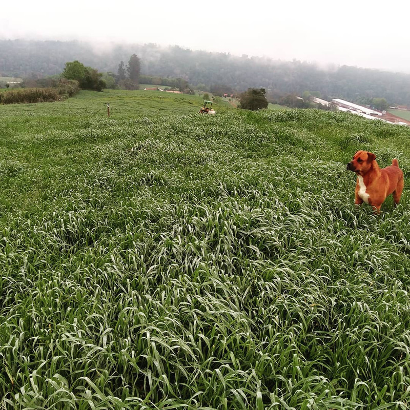 118066785-2993683374094764-1013955734962