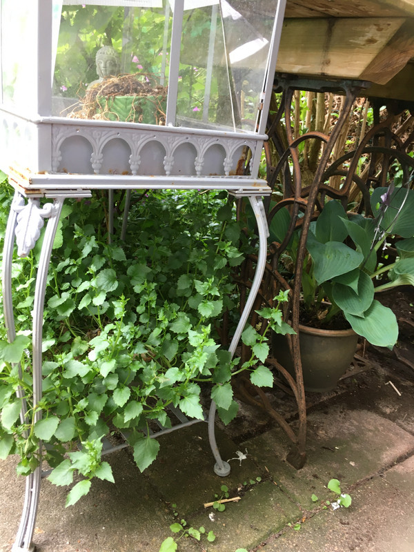 5CA0B4B3-1EFB-493F-BB04-F9A69CA607B7