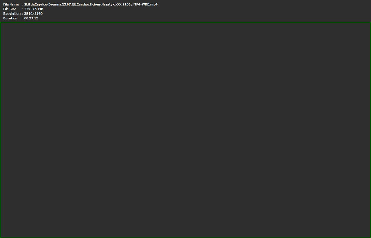31072023213305screenshot