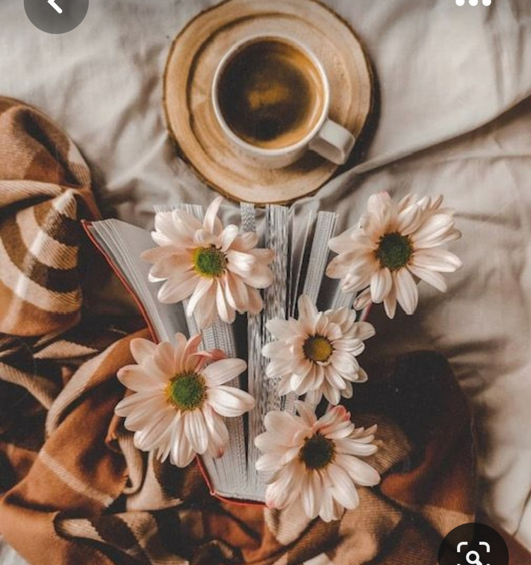 Screenshot_20230819_225940_Pinterest