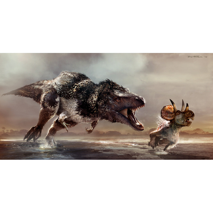 1b25fb800c04def5974333f4e3f12a83055985c1_700_700