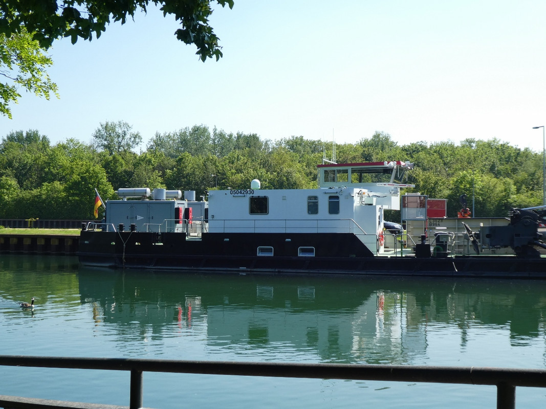 2020.05.07c Krabbe (1280x960)